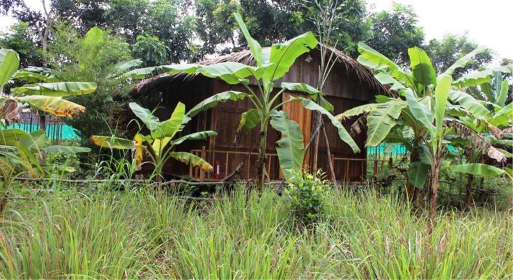 Pepper Farm Phu Quoc Bungalow Exterior foto